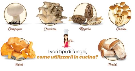 illustrazione di diverse tipologie di funghi con le loro caratteristiche distintive