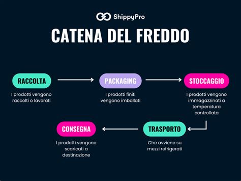 infografica sulla corretta conservazione della catena nella custodia