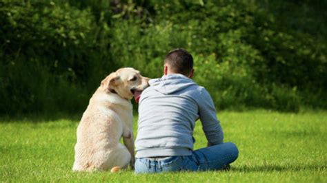 coppia cane e padrone che si abbracciano