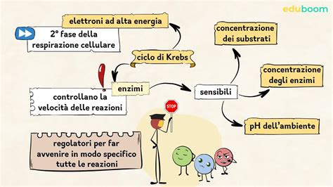 Mappa concettuale del ciclo di vita dei ricambi auto e del loro impatto ambientale