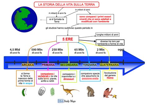 Evoluzione e persistenza degli improperi attraverso le epoche e le culture