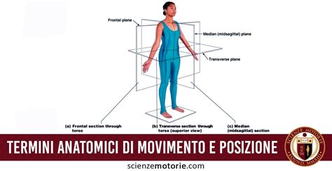 Dettaglio del battistrada Tri-Fi e dei punti di pressione anatomici