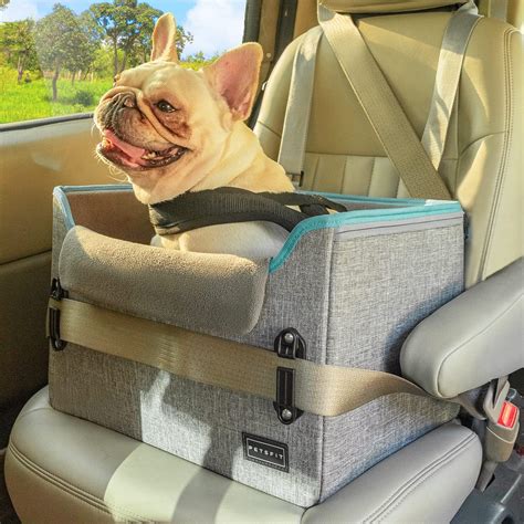 Coprivano con cane in auto