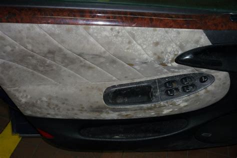 Muffa all'interno di un'auto ferma