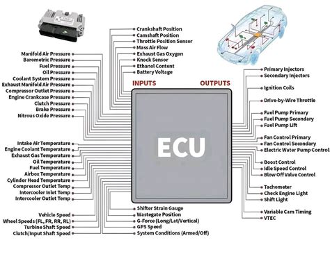 Architettura elettronica di un'automobile moderna con ECU interconnesse