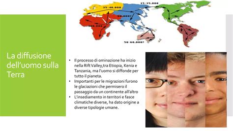 Diffusione dell'amaxofobia