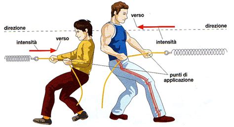 Infografica che illustra le forze di trazione e carico che agiscono sul mozzo anteriore durante la percorrenza di una curva