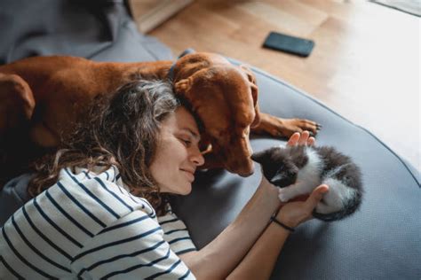 Dacia Maraini che accarezza un cane, in un momento di tenerezza e riflessione