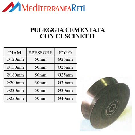 Sezione di una puleggia smorzata