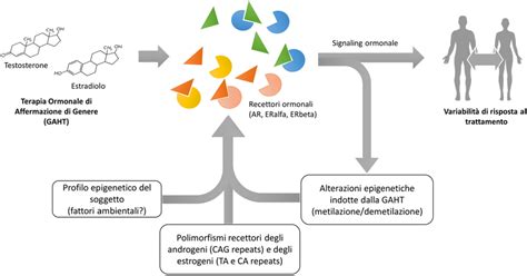 Rappresentazione schematica della formazione del complesso di inclusione ciclodestrina-farmaco