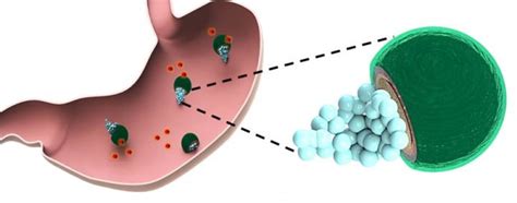 Schema del rilascio controllato di farmaci mediato da ciclodestrine in una matrice polimerica