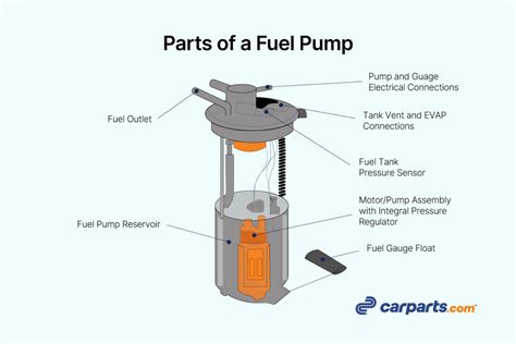 Fuel pump assembly components