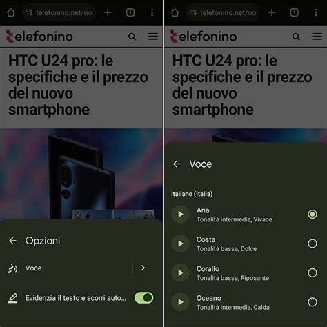 Menu opzioni di Chrome su mobile
