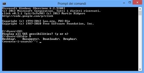 Comando ipconfig /displaydns nel Prompt dei Comandi