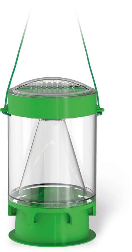 Trappola per mosche con feromoni