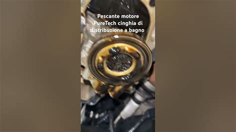 Pescante olio motore intasato