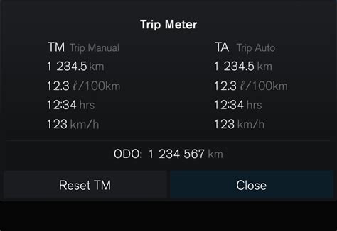 Trip computer interface