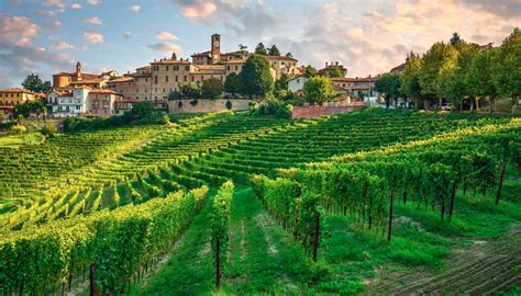 Vigneti italiani con persone a cavallo
