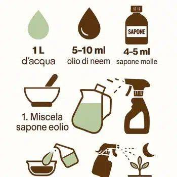Infografica: Dosaggio corretto dell'additivo ATF