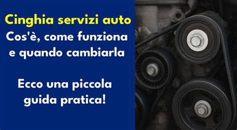 Cinghia servizi danneggiata e pulegge