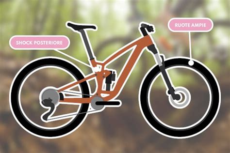 Confronto tra angoli di sterzo di diverse tipologie di biciclette