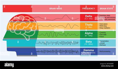 Illustrazione di un cervello stilizzato con onde sonore che si diramano in diverse direzioni