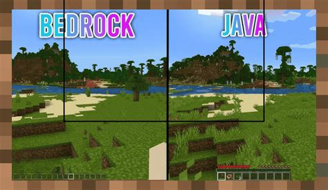 Minecraft Java Edition vs Bedrock Edition