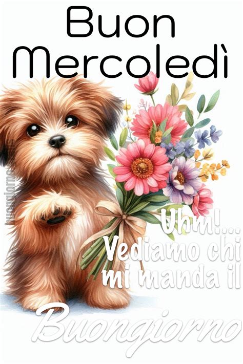 Screenshot di un'estensione per il download di immagini