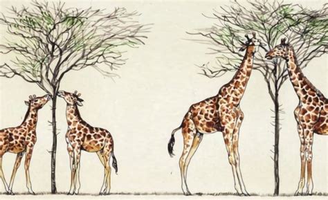 Infografica che illustra l'evoluzione del concetto di 