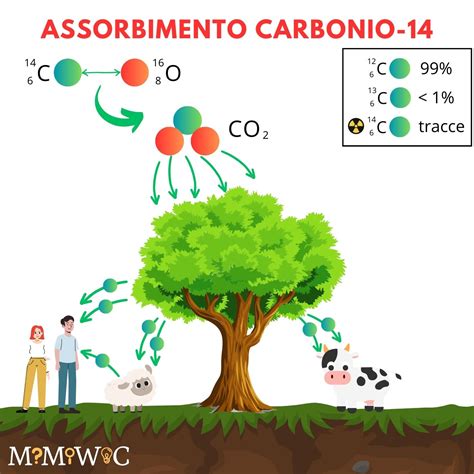 Formazione del Carbonio-14