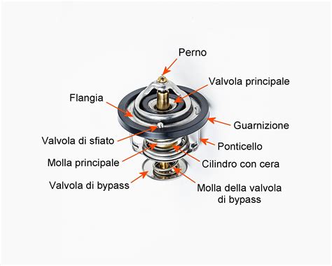 Illustrazione di un termostato per auto