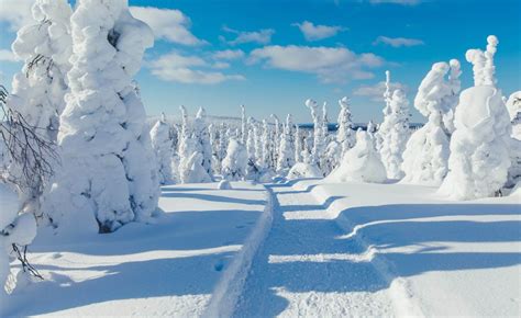 Paesaggio invernale della Lapponia finlandese con piste di test innevate