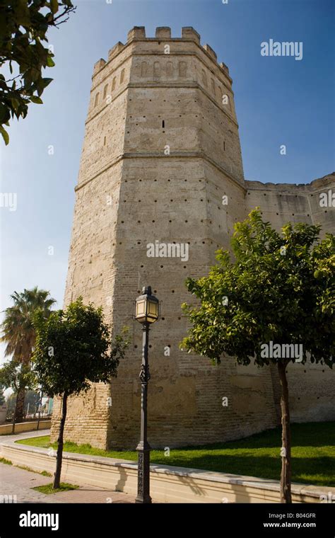 Torre Ottagonale dell'Alcázar di Jerez de la Frontera