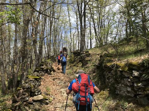 sentiero di montagna con studenti