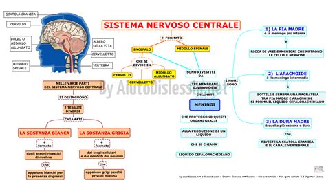 Schema del sistema SIVES