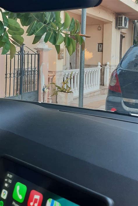 Una donna è seduta in un'auto, vista attraverso il parabrezza, con testi informativi sulle emissioni e consumi