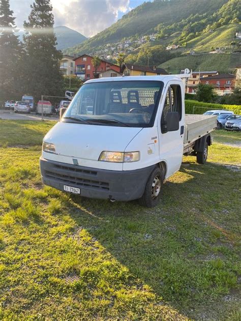 Fiat Ducato cassonato in azione con operai