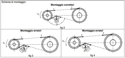 Schema di una cinghia servizi con pulegge e tendicinghia
