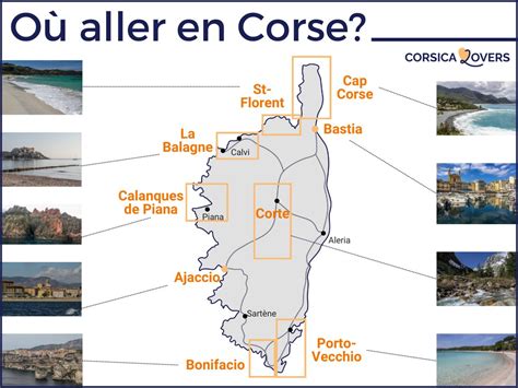 infografica sui guadagni delle corse clandestine
