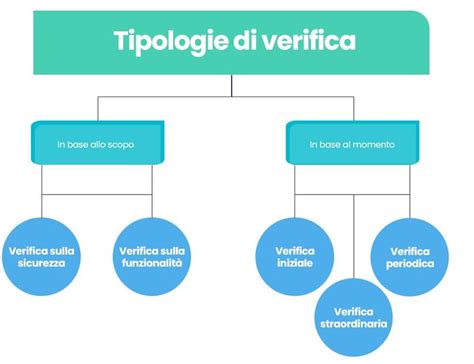 Schema che illustra le diverse tipologie di verifica veicolo disponibili