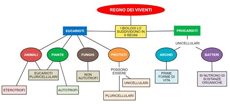 Mappa concettuale che illustra i vantaggi e gli aspetti di un cinema drive-in