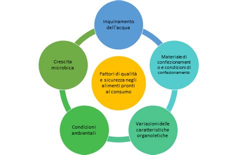 Grafico che illustra i fattori che influenzano il consumo di carburante di un'auto