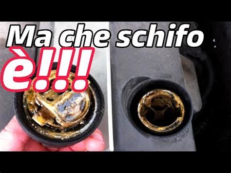 Vano motore sporco di olio a causa di una perdita