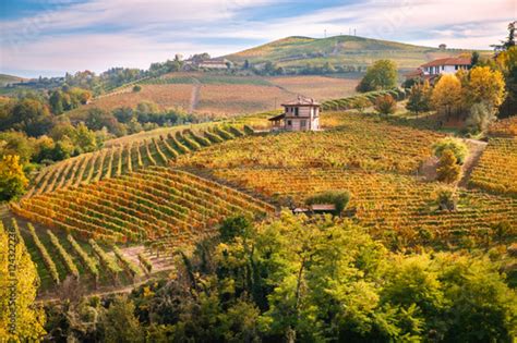 Paesaggio collinare delle Langhe con vigneti