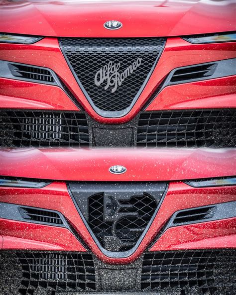 Dettaglio dello scudetto Alfa Romeo Junior con le due varianti