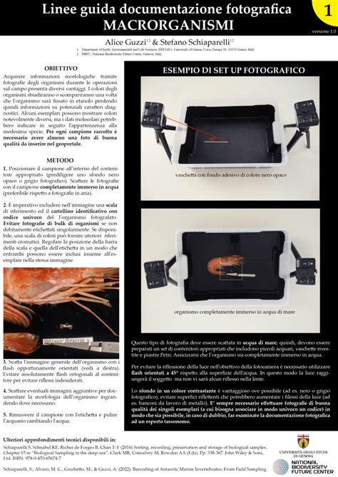 documentazione fotografica danno auto
