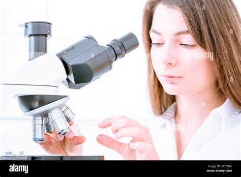 Microscopio che osserva un vetrino istologico