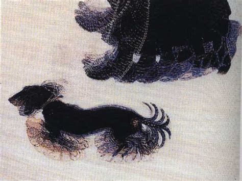 Dinamismo di un cane al guinzaglio di Giacomo Balla