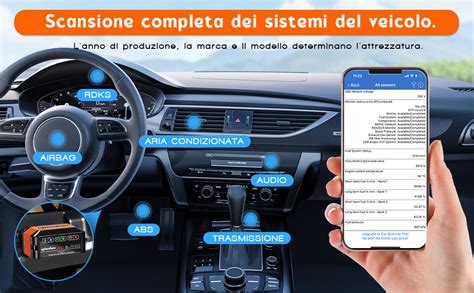 Interfaccia di un tester autodiagnosi durante l'azzeramento della spia