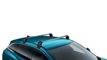 Renault Austral con barre portatutto e box tetto